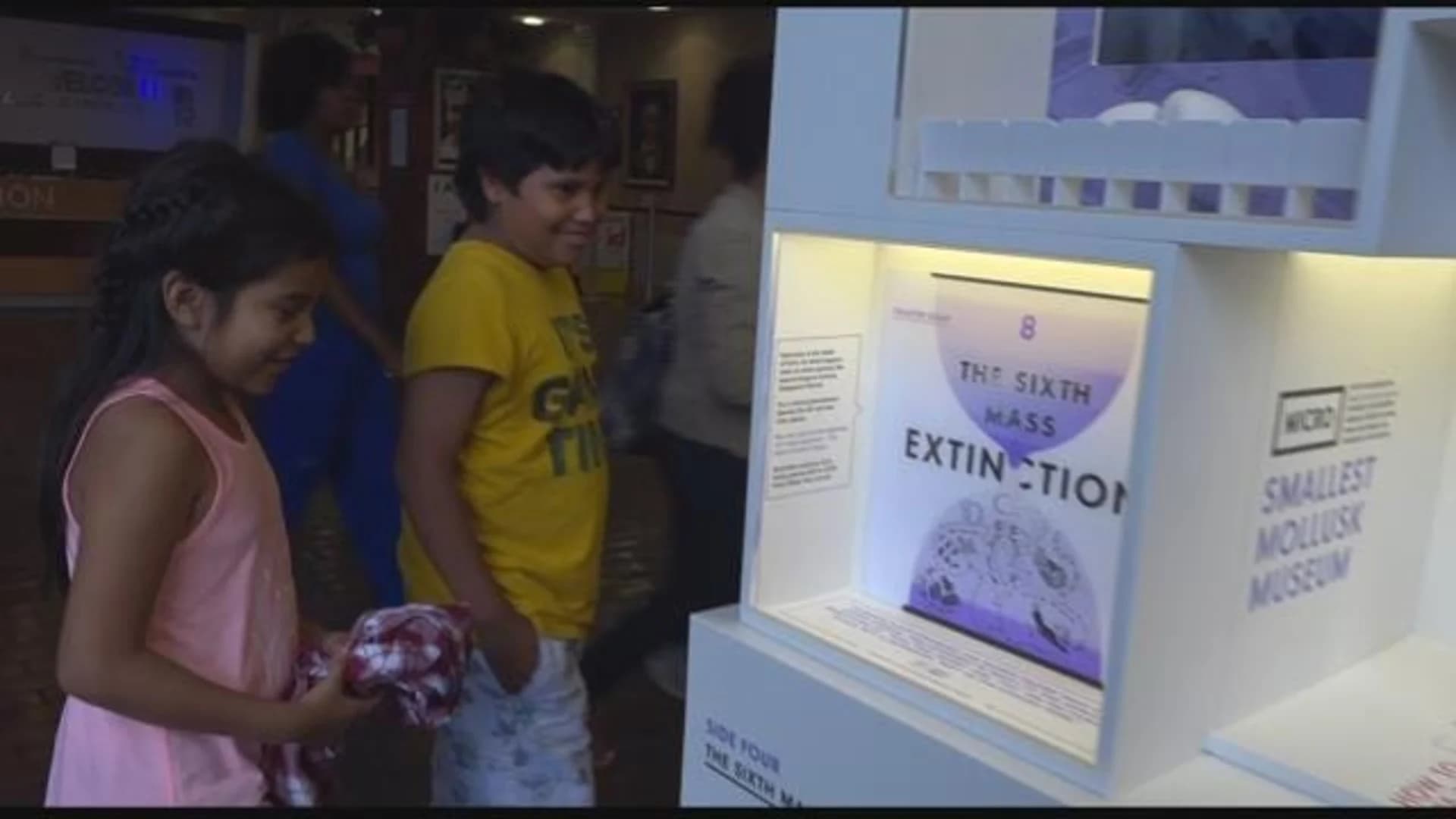 Mini museum offers look into marine biology