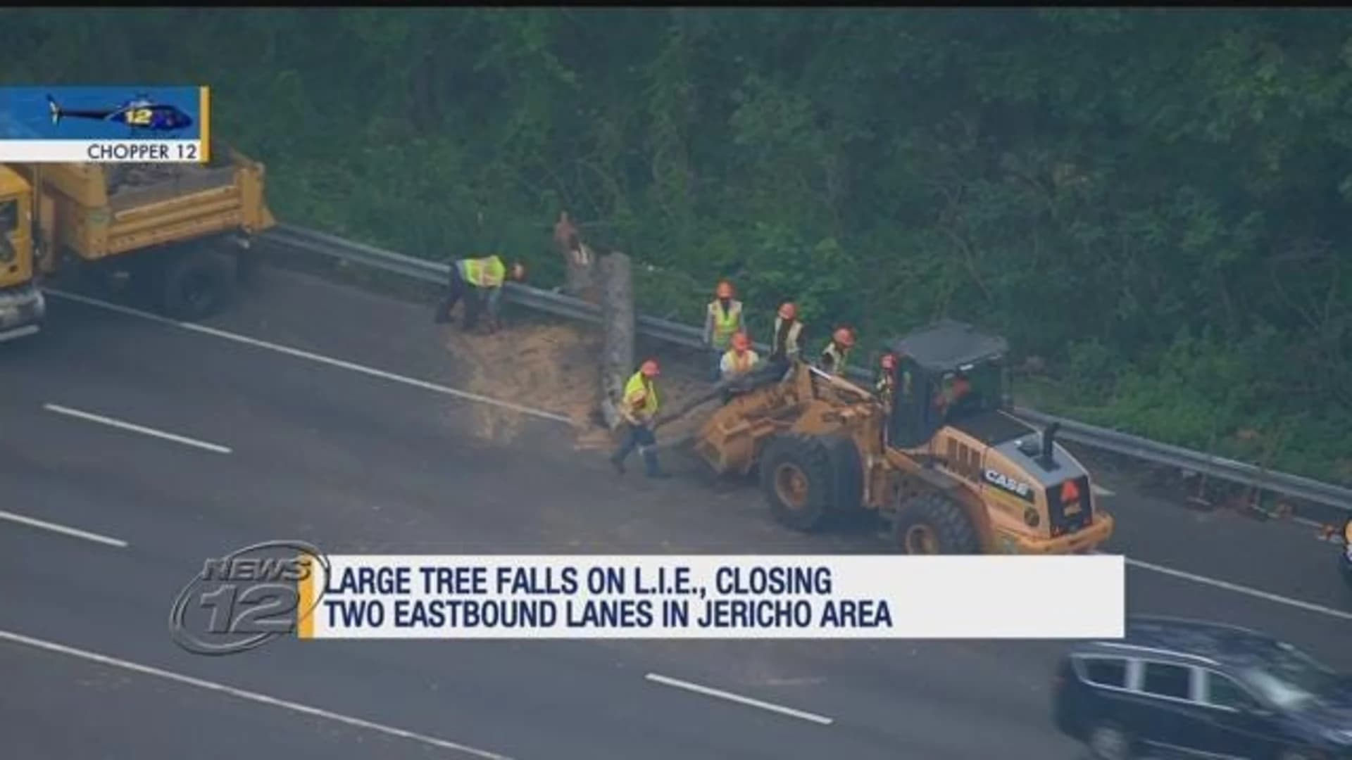 Downed tree on LIE cleared after causing traffic issues