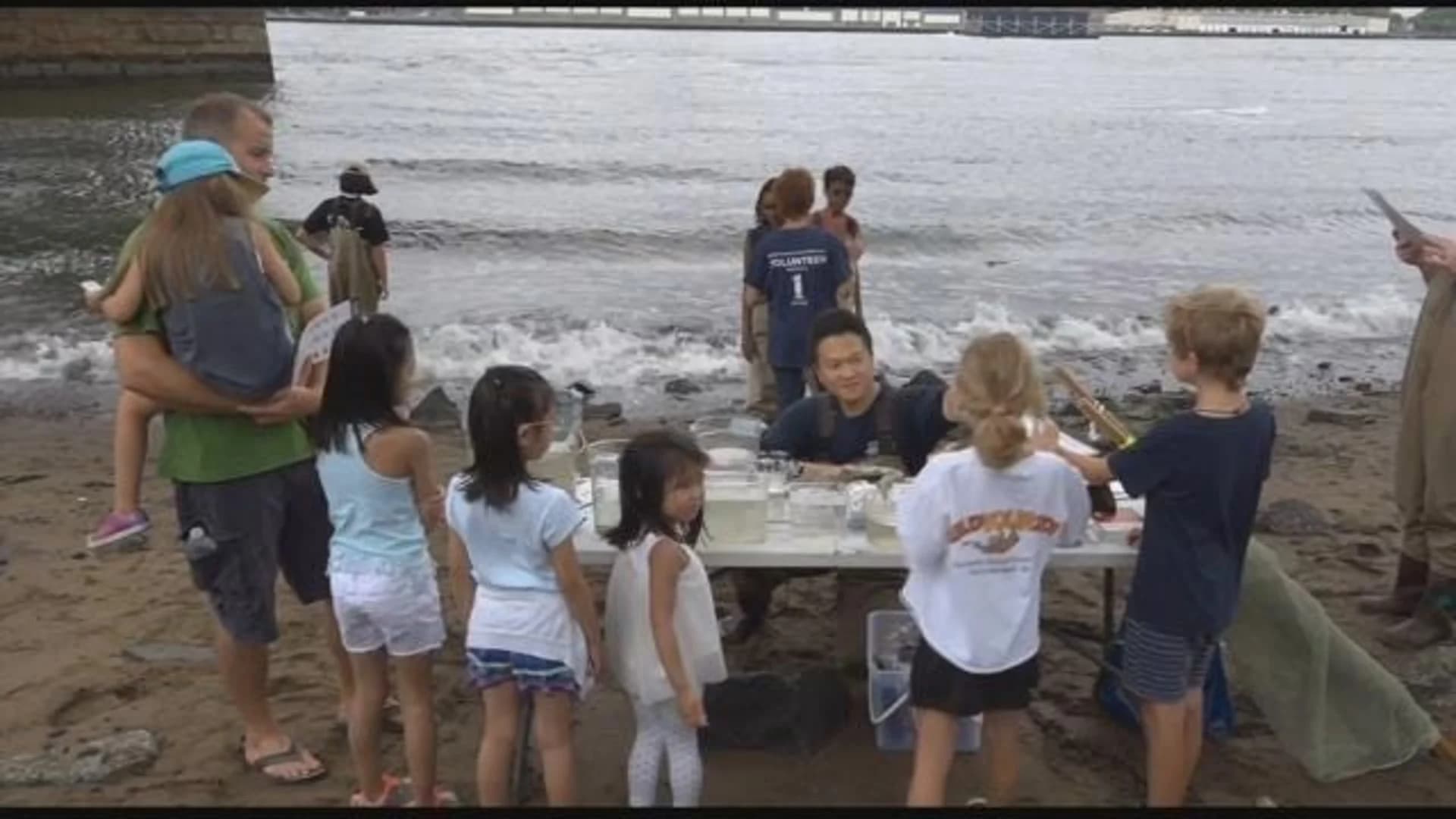 Visitors explore Hudson River at annual Fish Count
