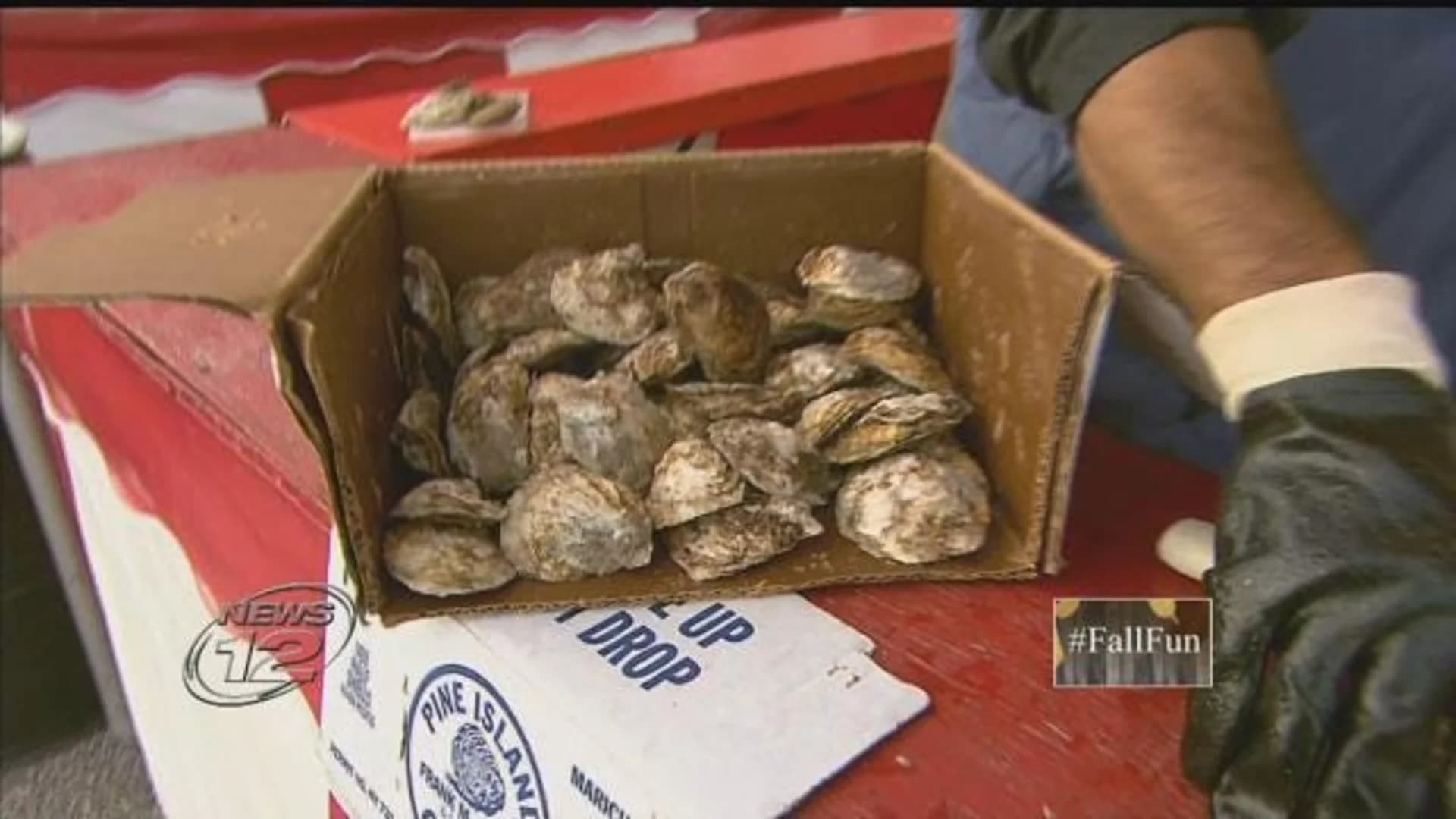 34th annual Oyster Festival kicks off this weekend