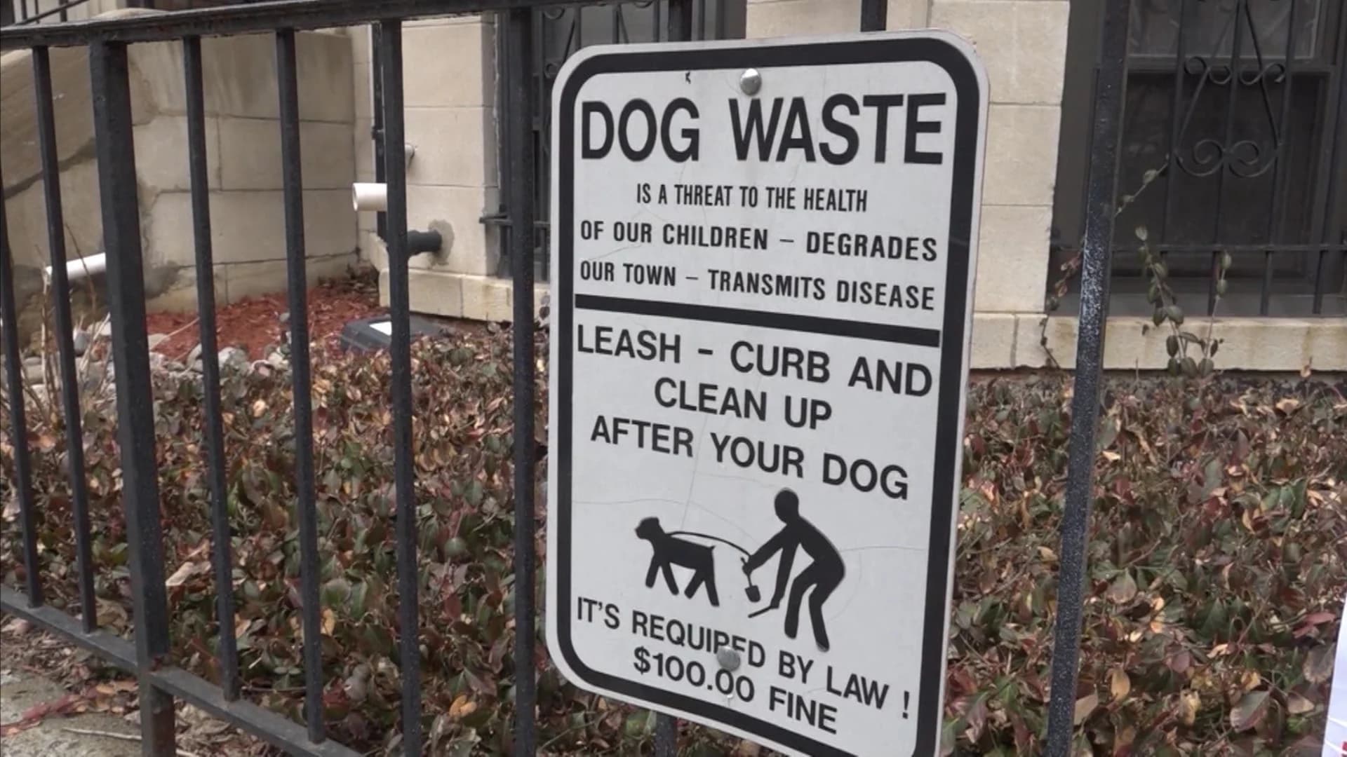 Hoboken police go undercover to catch dog poop violators