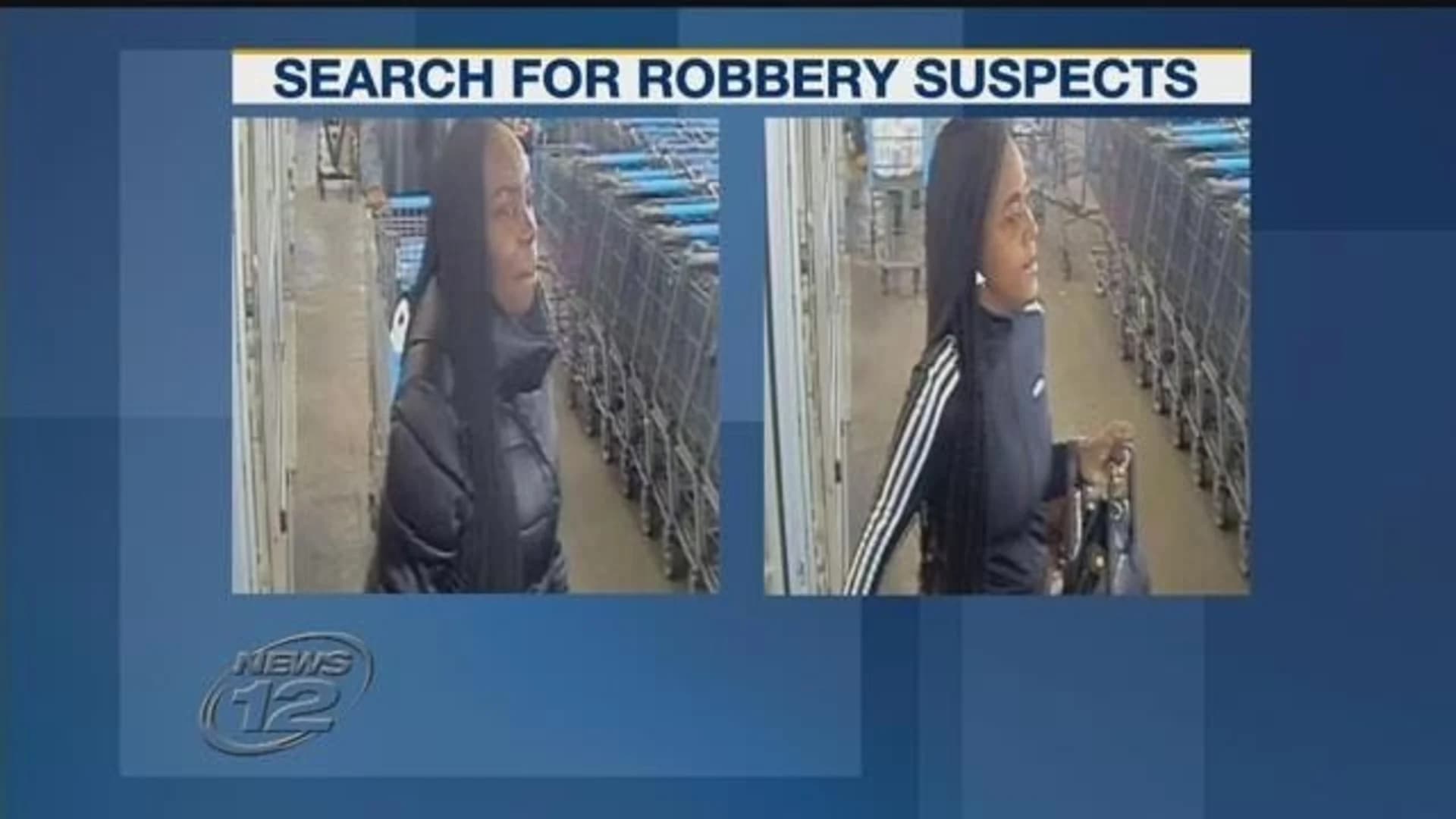 Police seek 2 who robbed, sprayed woman in face with cleaning product