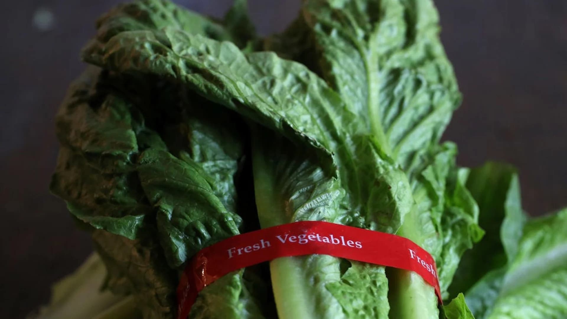 People in US, Canada warned to not eat romaine lettuce